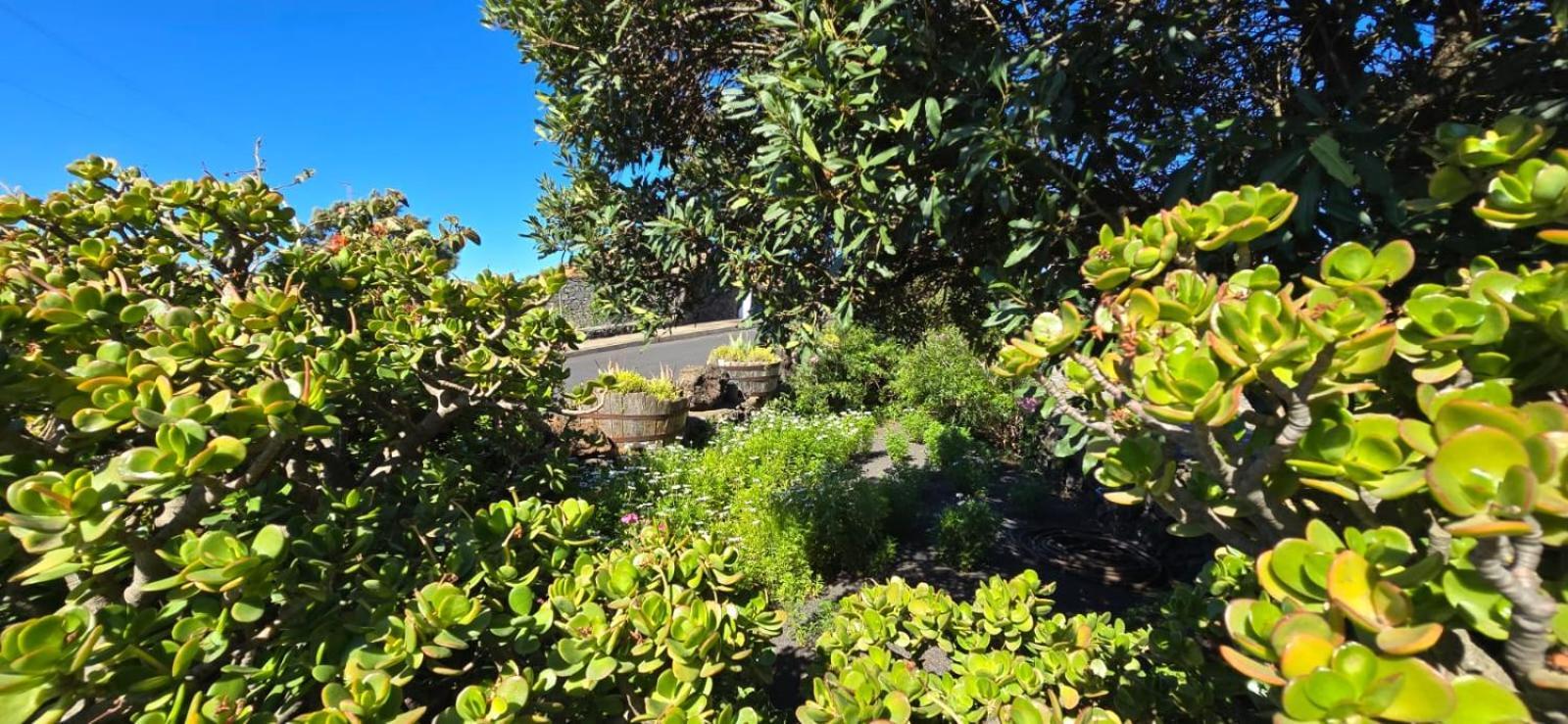 Vivienda Vacacional El Lagar, Bodega A Fuencaliente de la Palma Extérieur photo