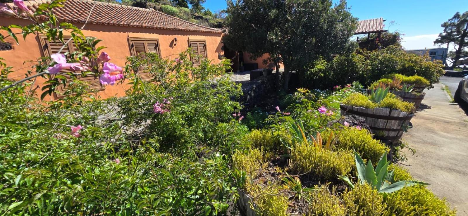 Vivienda Vacacional El Lagar, Bodega A Fuencaliente de la Palma Extérieur photo