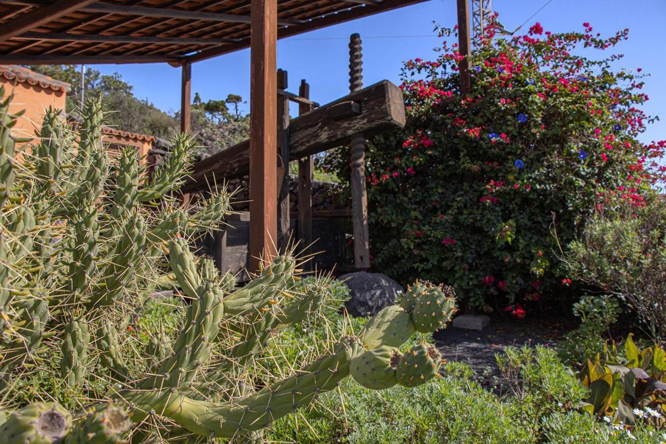 Vivienda Vacacional El Lagar, Bodega A Fuencaliente de la Palma Extérieur photo
