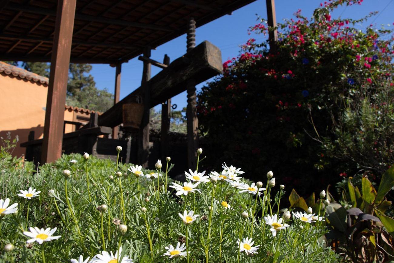Vivienda Vacacional El Lagar, Bodega A Fuencaliente de la Palma Extérieur photo